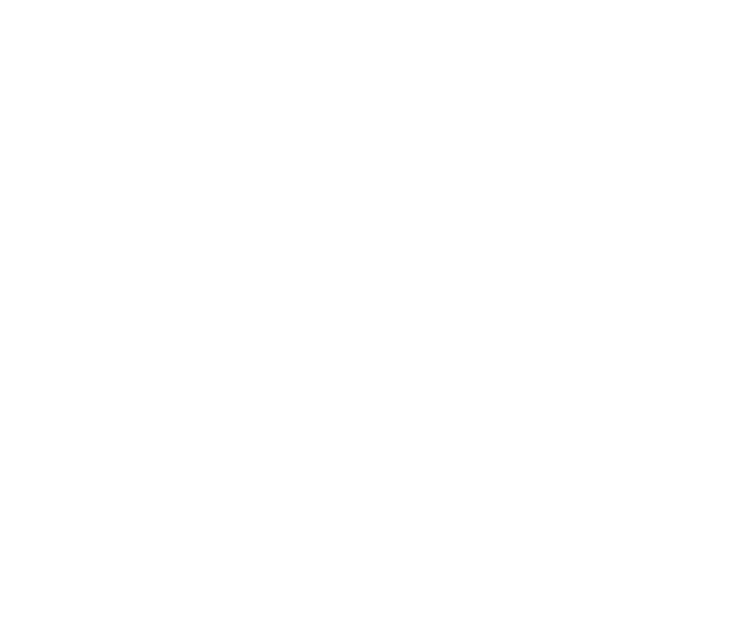 Lona Logo